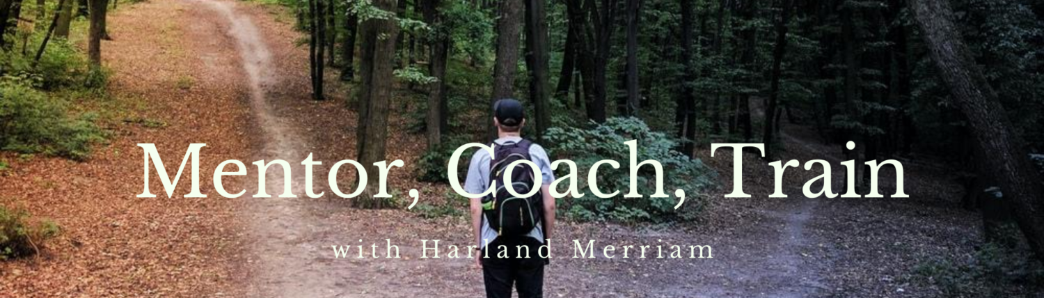 Mentor, coach, train