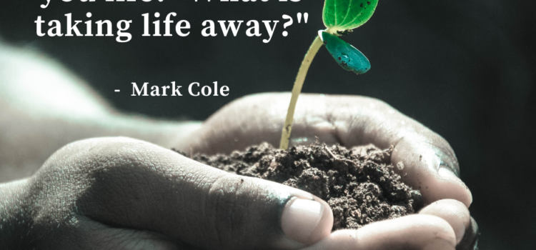 Mark Cole Quote