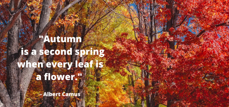 Camus Quote on Autumn