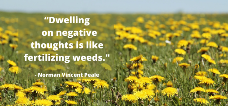 Norman Vincent Peale Quote